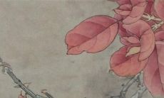 87年火兔本命年戴什么