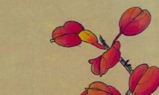 2023年太岁是哪个姓氏