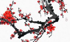 十二星座过年的惊喜