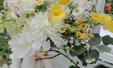 十二星座女的真爱