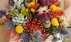 男双鱼座二区和女天秤座二区配对