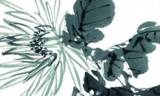 卜易居2023年属龙