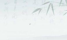 属猪女的姻缘怎么样 属猪女婚姻