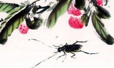 1996年属鼠男孩最佳婚配生肖 1996年的男鼠婚配属相