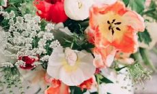 上升星座天蝎座的优点和缺点