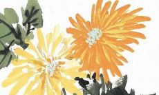 83年属猪的人今年适合买房吗 1983年属猪人买房要买几层楼好？