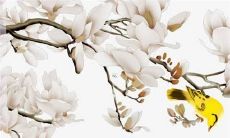 68年属猴哪一年出生好 68年属猴几月出生最好