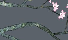 好听的情侣名字古风