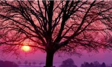 水瓶一月好还是二月 优缺点