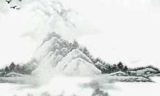 属兔人2023穿什么颜色