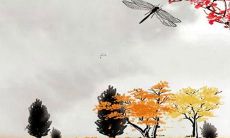 87年属兔男人2023年运势