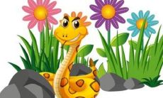 十二月蛇尾苦到头是什么意思 苦焦命是什么意思