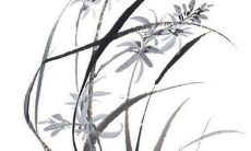 2023年属羊人财运