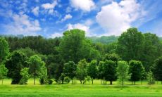 摩羯座是几月几日出生的 摩羯座出生时间性格