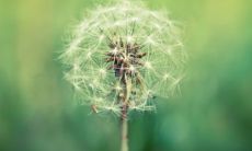 五行属土的吉祥汉字 属土汉字大全