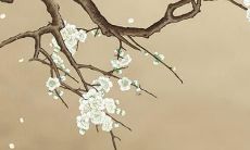 1965年属蛇女寿命怎么样 1965年属蛇人寿命