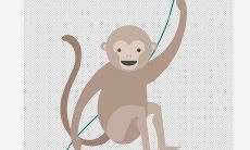 猪女猴男般配吗 结婚需要注意的