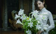 手相分析适合做老婆的女人