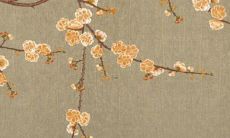 86属虎和87属兔的婚姻怎么样 87属兔与86属虎