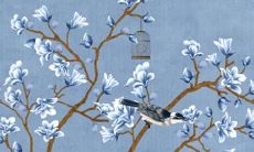 2023年属兔处女座