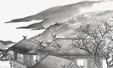 2023年属兔犯啥太岁