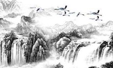 1987年属兔的女人的感情怎样