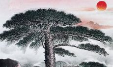 生于2023年属什么命