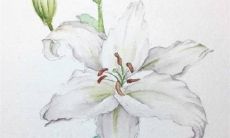 水瓶座2023年佩戴什么