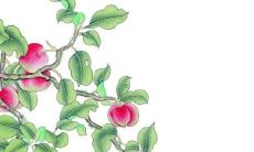 87年属兔男命婚姻 87年属兔男今年婚姻如何