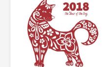 十狗九富吗 生肖狗什么时候出生命运最好