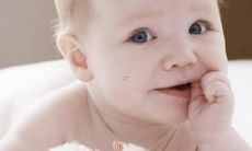 最好听的狗狗名字