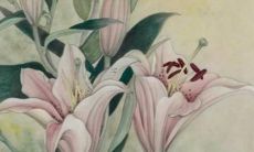 属虎跟属龙合作生意如何 属虎与属龙合作怎么样