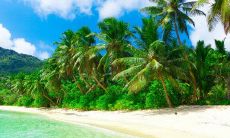 命里有二婚的生肖有哪些 感情比较坎坷