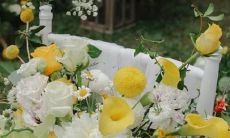 活泼多变的星座