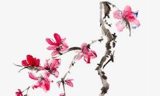 第一声比较好听的名字