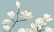 2023年属猴男出轨征兆