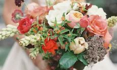 水瓶座和狮子座配吗？