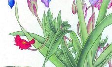 2023年90年属马财运