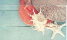 喜鹊报喜是什么意思 喜鹊报喜的故事