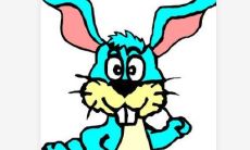 属猪的女生有什么缺点 对婚姻的态度