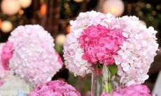 金牛座男生的缺点