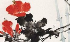 属马在2023年如何躲星