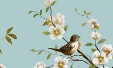 1976属龙的幸运数字 属龙的幸运数字1976年