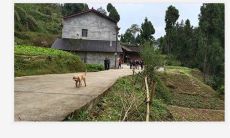 房屋建筑风水知识 房屋建筑风水禁忌与破解