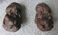 月光石和什么属相犯冲 月光石五行属什么