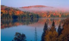 雷击木为什么不能让别人碰 雷击木放在家里什么位置