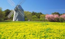 生肖鼠适合生鼠宝宝吗 不宜生什么生肖