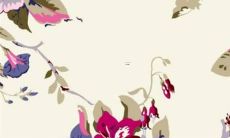 2023属男属牛的财运如何