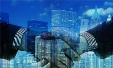 梦见天鹅在水里游