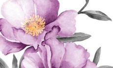 86属虎人2023年生育